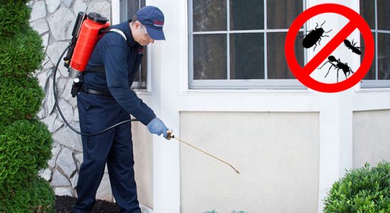 Bolu Akrep İlaçlama böcek ilaçlama ve haşere kontrolü — ilaclama-tr.com